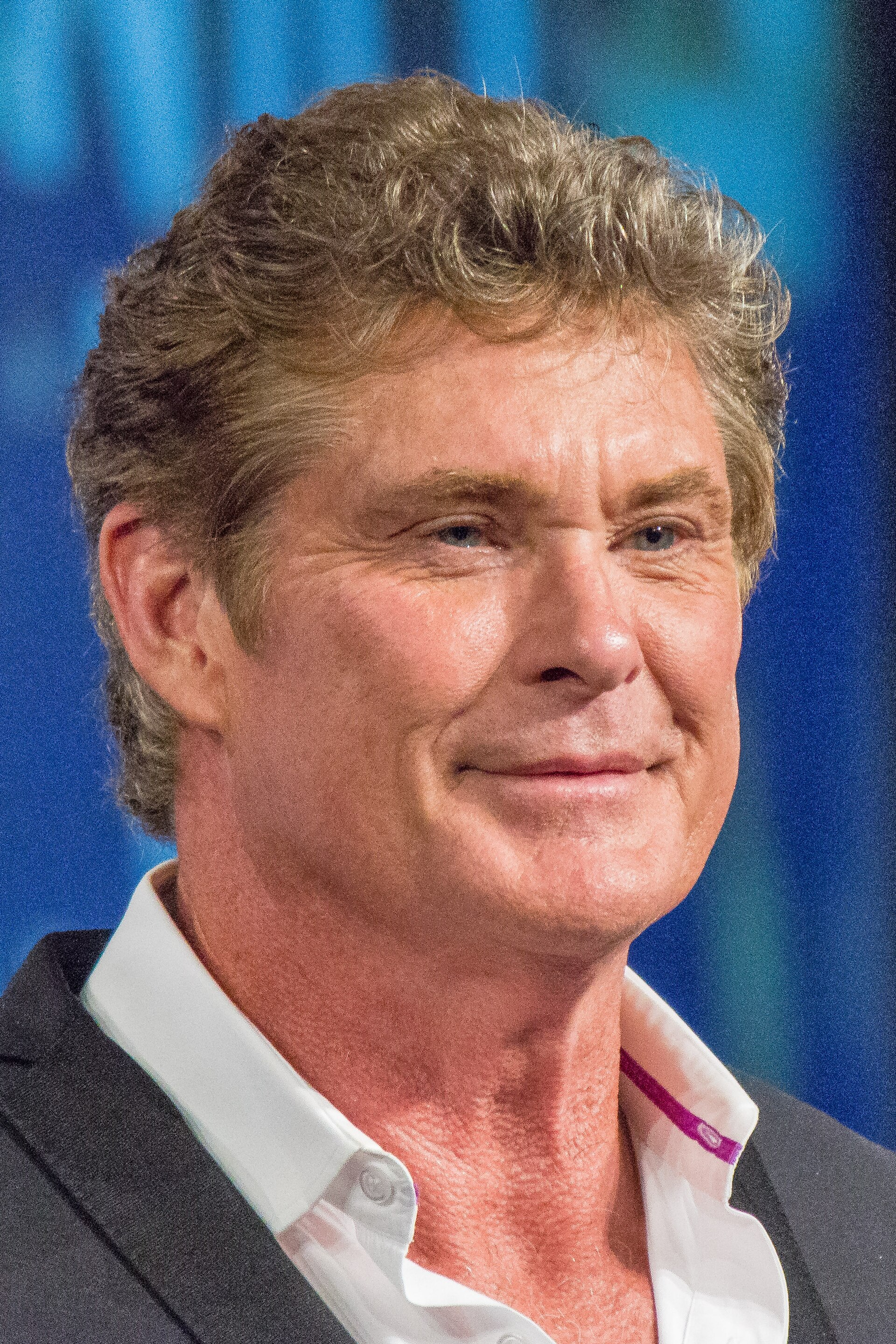 Imagem de referência relacionada a David Hasselhoff, item descrito como ator e cantor americano