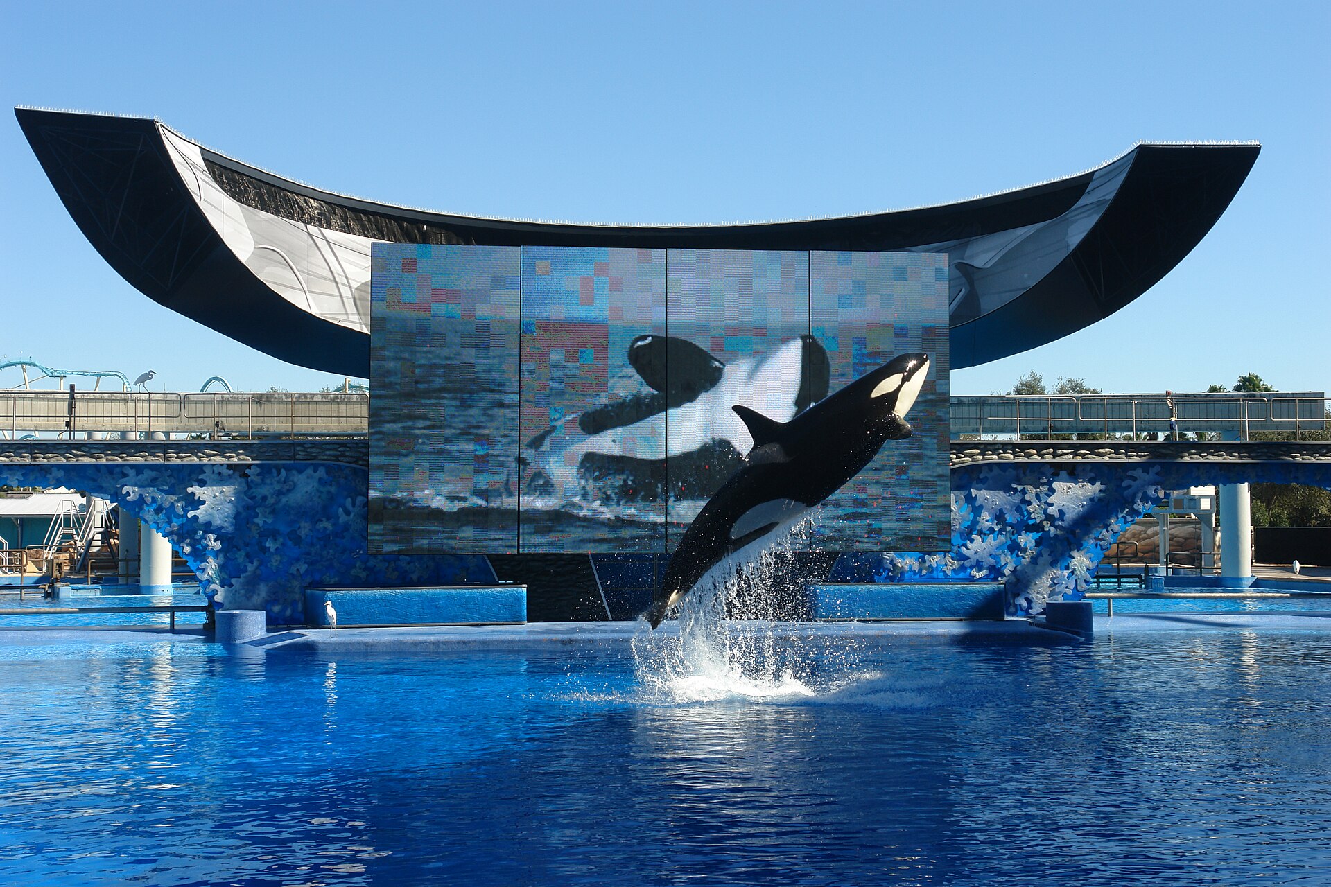 Imagem de referência relacionada a SeaWorld, item descrito como rede de parques temáticos de vida marinha dos Estados Unidos