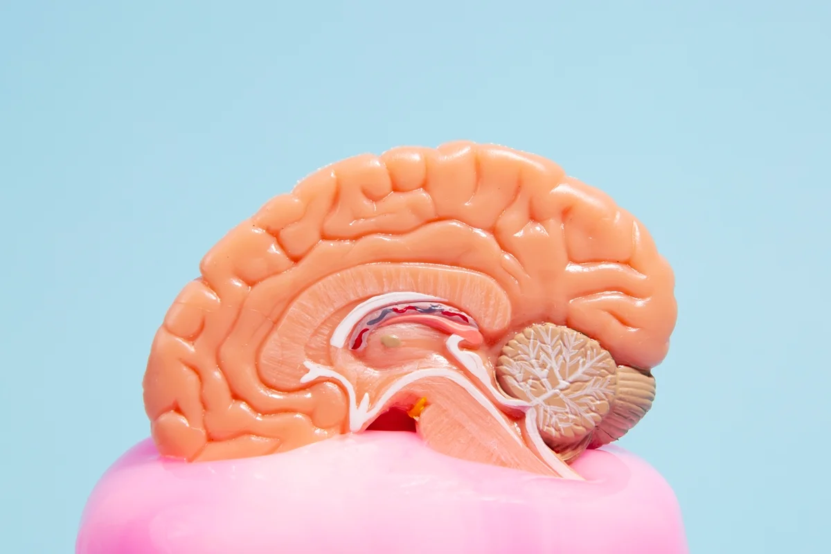 Estimulação cognitiva pode retardar perda de funções no Alzheimer