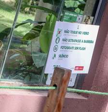 Parque da Bica estava fechado desde o final de novembro Foto: Divulgação