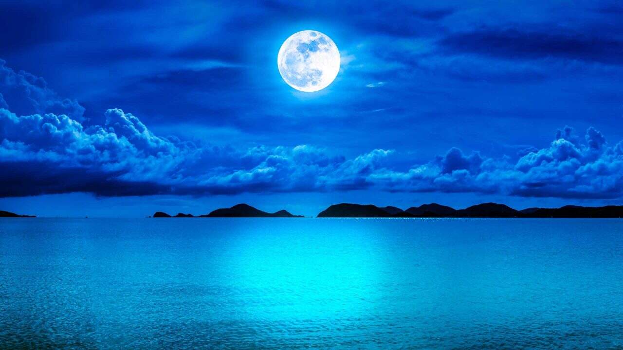 Lua cheia: esqueça o lobisomem e cuidado com os tubarões! Perigo aumenta para os banhistas na atual fase lunar?