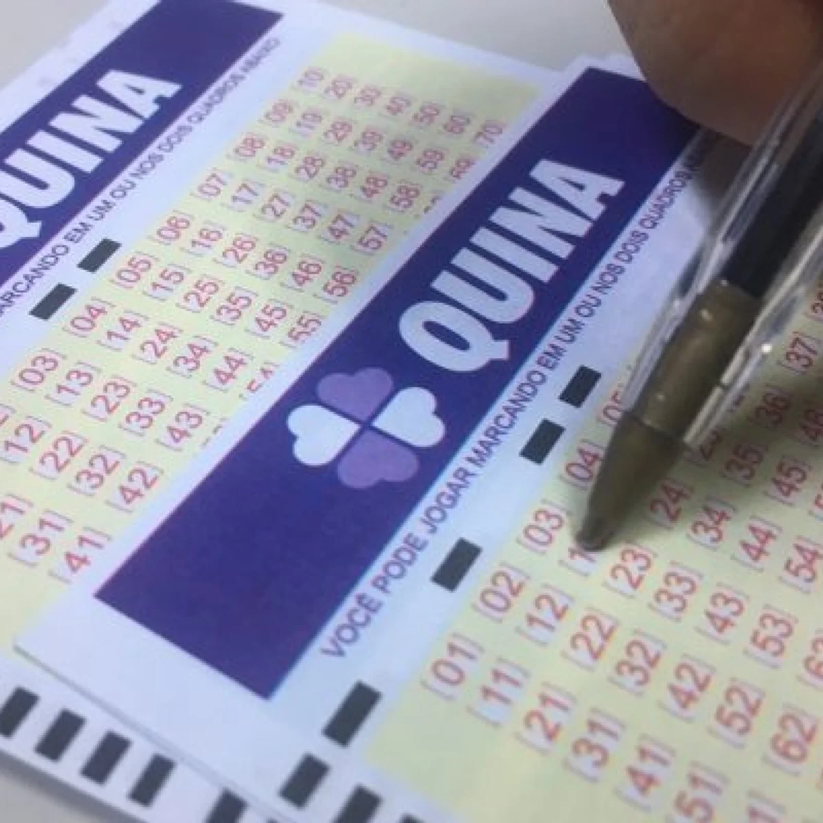 Quina: seis apostas do DF acertam a quadra e acumulam R$ 70 mil em prêmios
