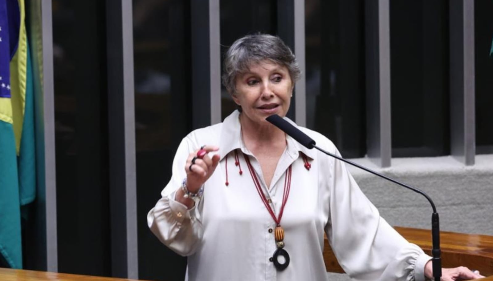 Erika Kokay foi eleita para a Câmara dos Deputados, pela primeira vez, em 2010 Bruno Spada / Câmara dos Deputados - arquivo