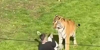 Visitantes filmaram o momento em que o tigre começa a morder o rapaz Foto: Reprodução/X