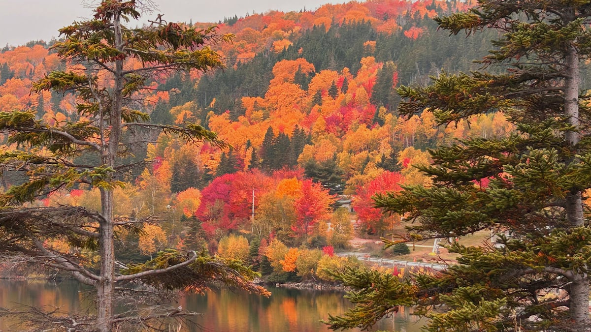 Cape Breton prepares to celebrate the fall colours