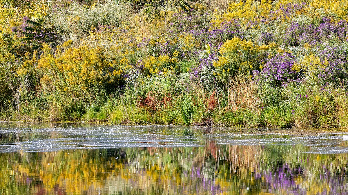Showers taper off in London as temperatures reach 20 C Sunday