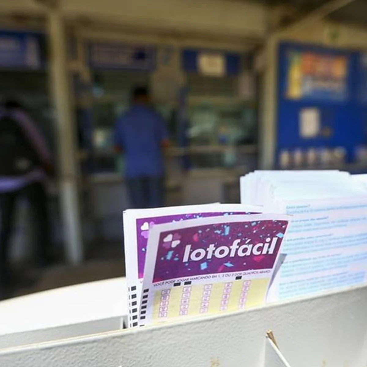 Lotofácil 3794: três apostas dividem o prêmio principal. Veja resultado
