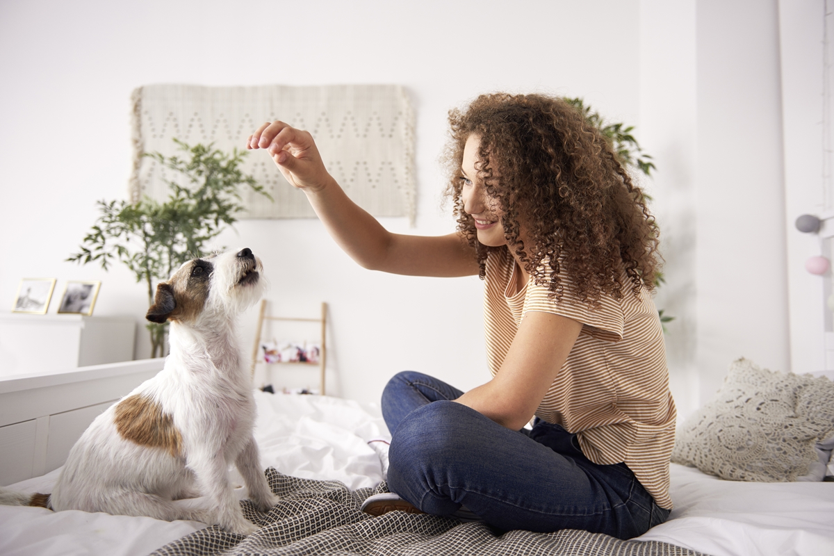 Afeto e mimos em excesso podem gerar dependência emocional nos pets