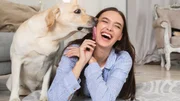 Entenda os sinais do seu pet idoso que exigem visita ao veterinário